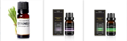 Organic essential oils gift set from Coremet Ltd featuring natural aromatherapy oils in glass bottles with labels, arranged in a gift box.
