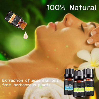 Organic essential oils gift set from Coremet Ltd, featuring a variety of aromatherapy oils in business kit packaging.