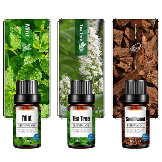 Aroma diffuser with a bottle of 10ml lavender essential oil and sweet orange water-based plant scent, part of a business kit.